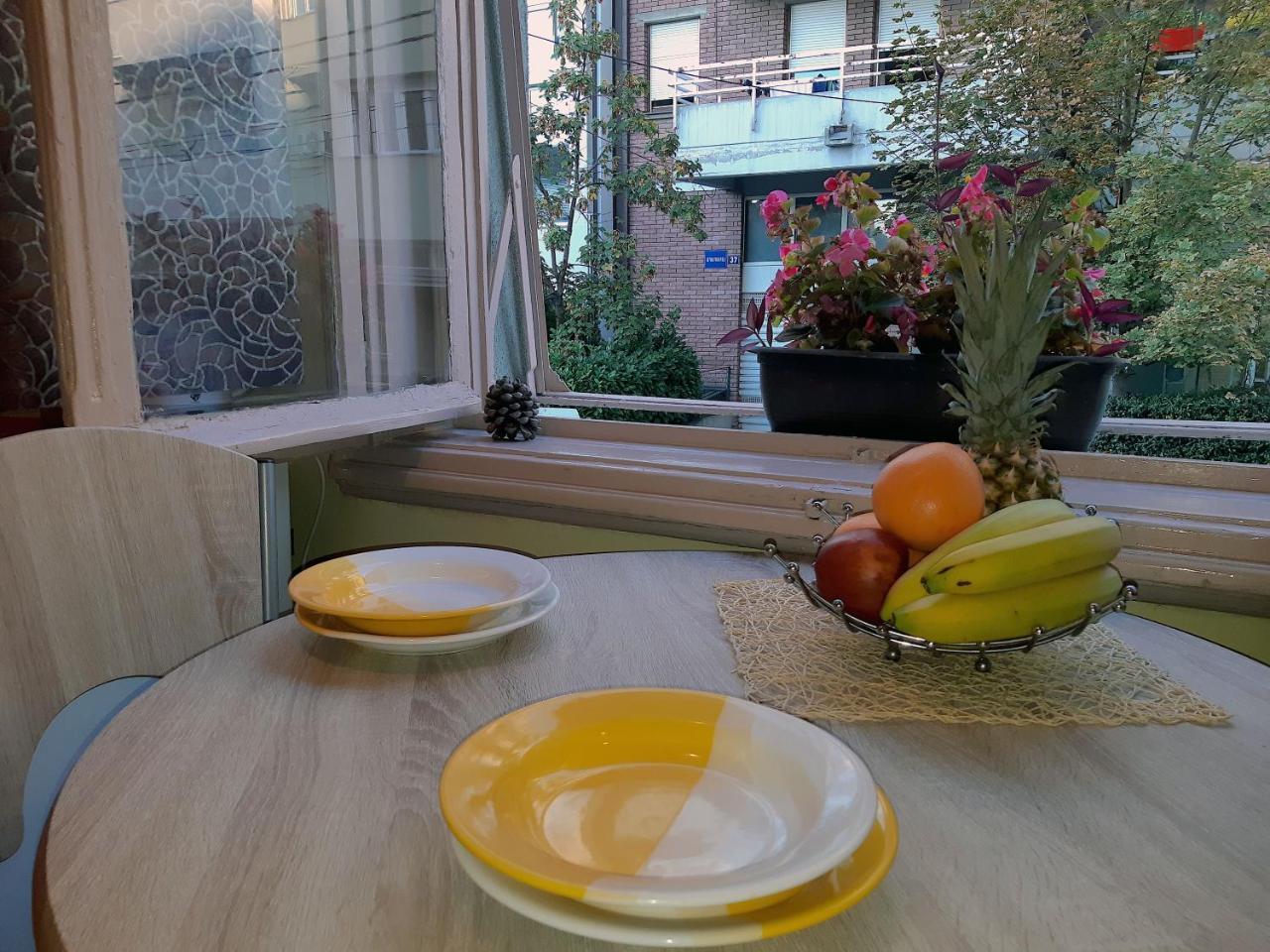 Jelena Apartment Belgrad Zewnętrze zdjęcie
